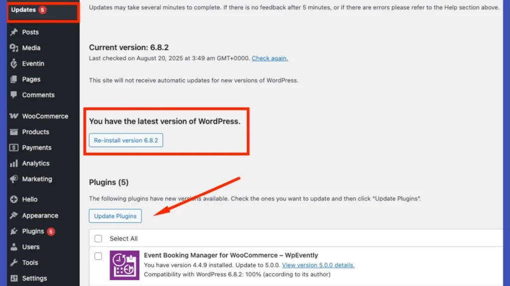 Update WordPress core plugin theme thành công trên dashboard